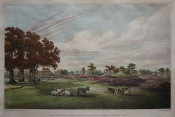 View from the Nine Elms, Clapham Common, looking south-west, Joseph Powell