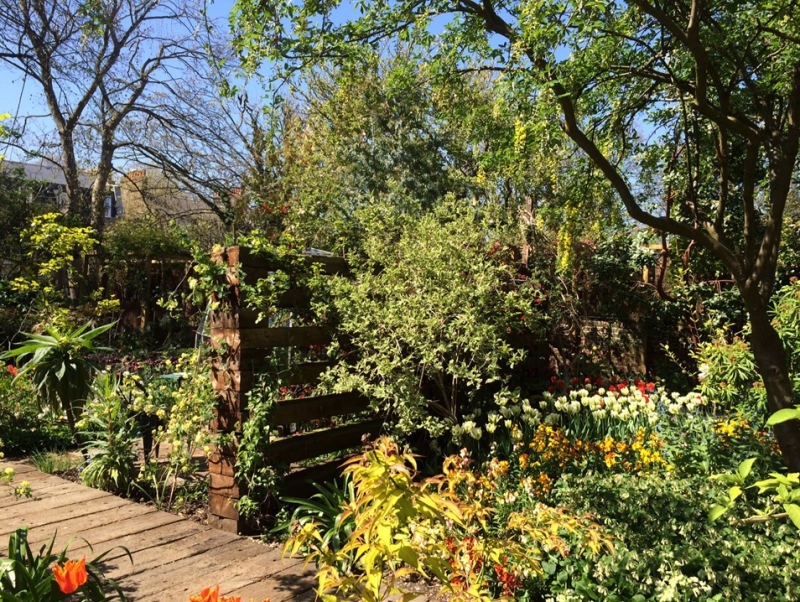 Charles Rutherfoord's garden