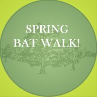 Bat Walk April 2024
