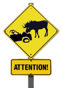 Moose Car Sign