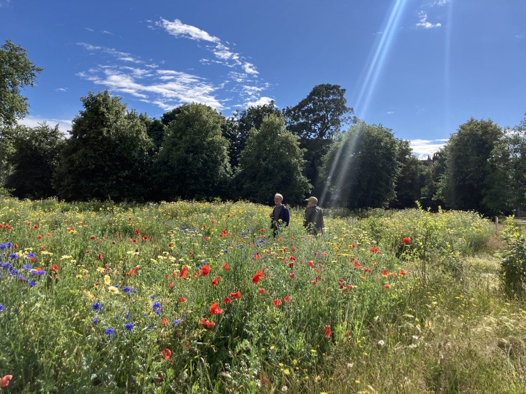 The Future Funding Of Clapham Common